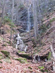 Picture_2 033